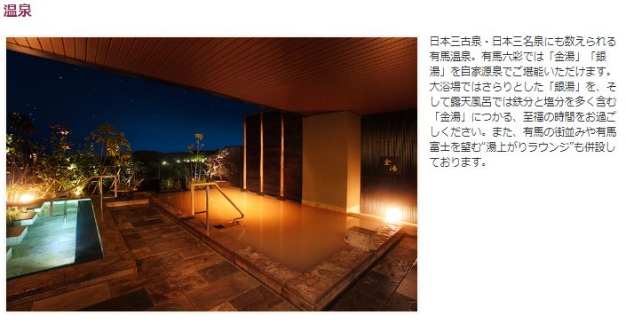 f:id:mayonezu2015:20190114230033j:plain