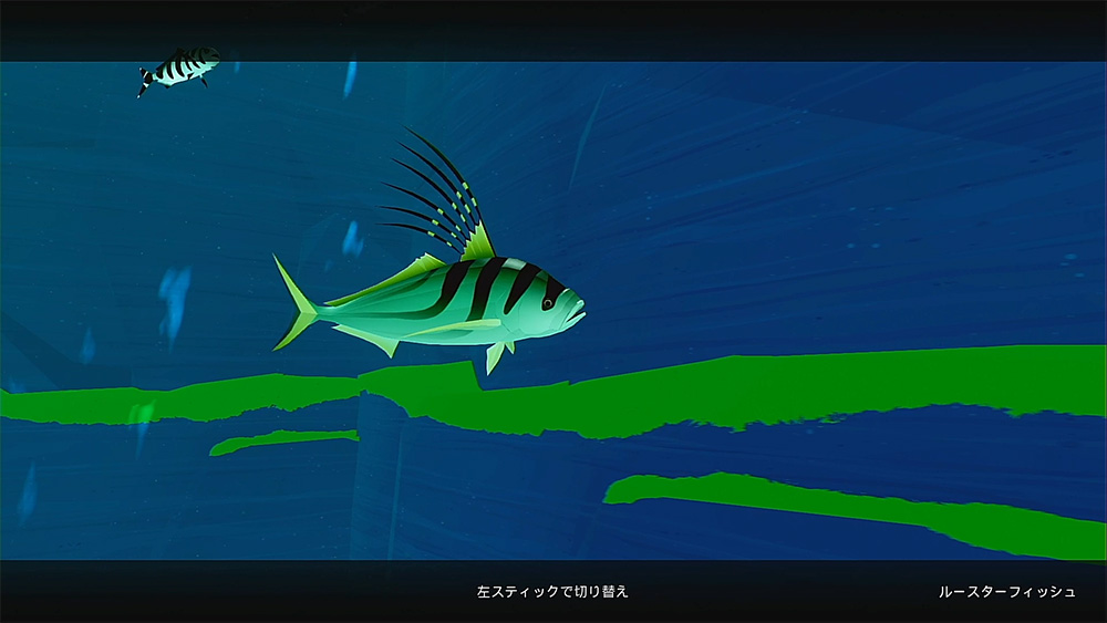 一人称視点で見る海洋生物