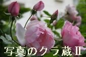 写真のクラ蔵�バナー