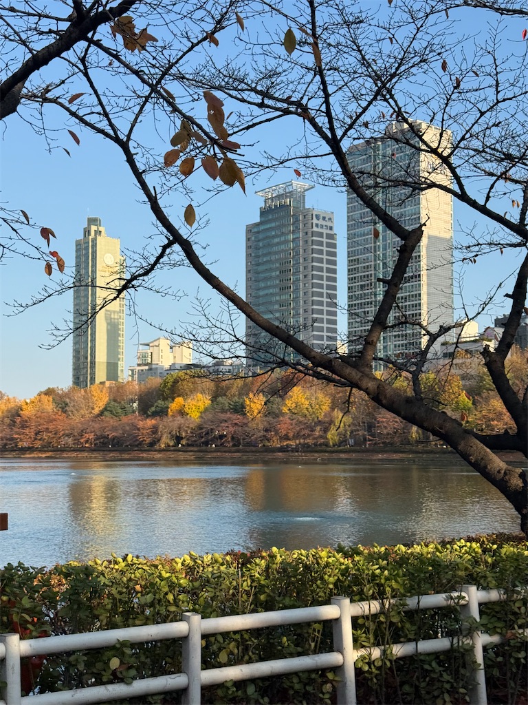 f:id:mayou20:20241127135828j:image