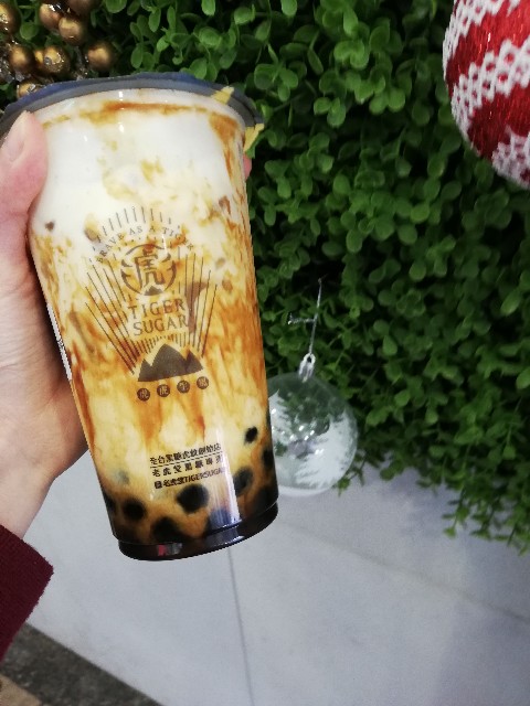 f:id:maysugimo:20190116134205j:image f:id:maysugimo:20190116134205j:image