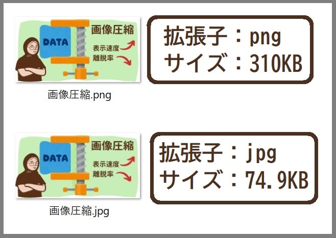 サイズ比較