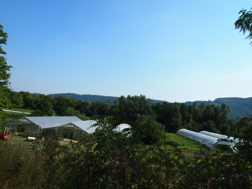 f:id:mayu-dance-or:20161213092024j:plain f:id:mayu-dance-or:20161213092024j:plain