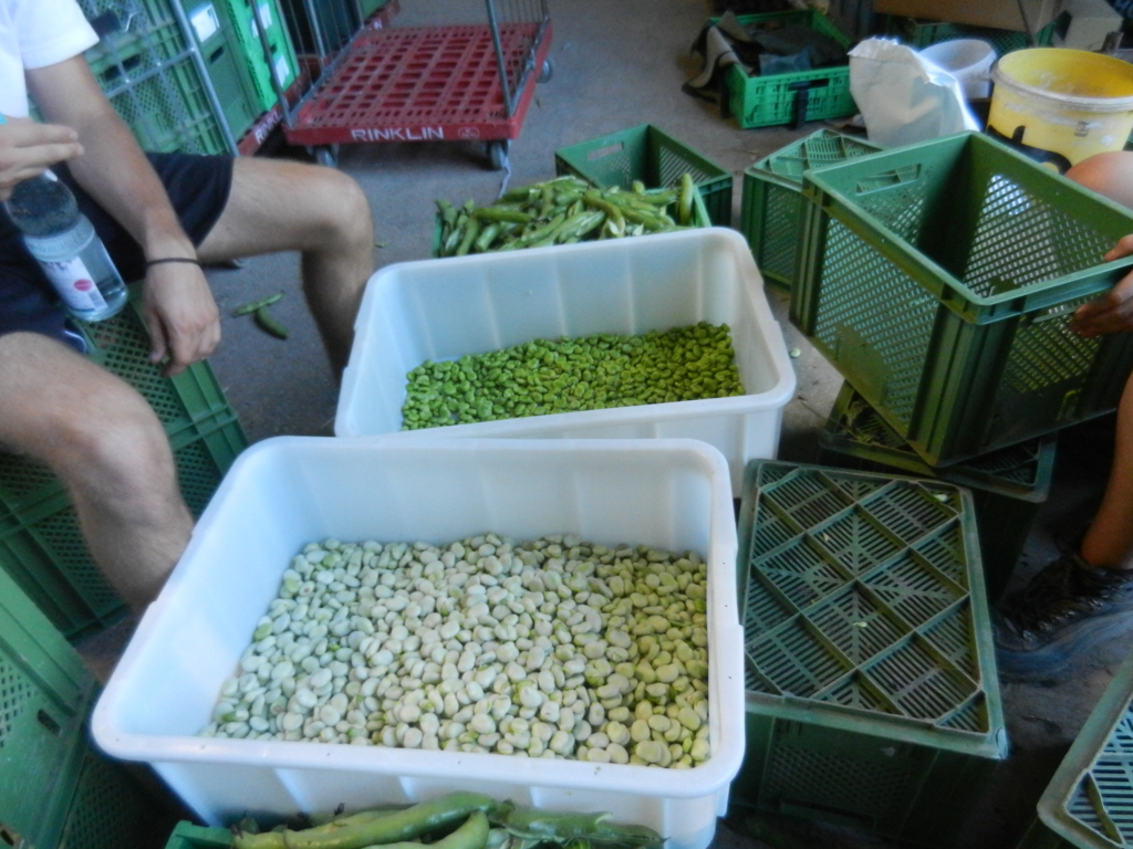 f:id:mayu-dance-or:20161213105741j:plain f:id:mayu-dance-or:20161213105741j:plain