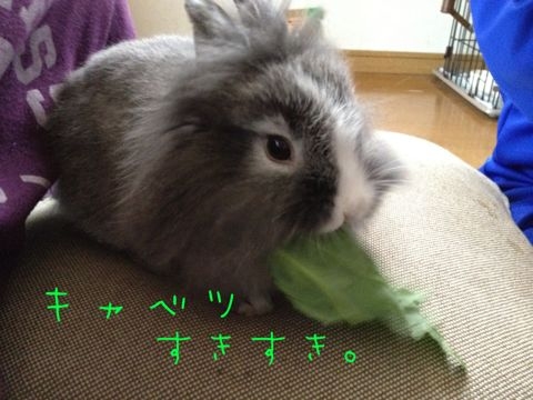 f:id:mayu10b:20120426131937j:image
