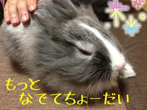 f:id:mayu10b:20120601151038j:image