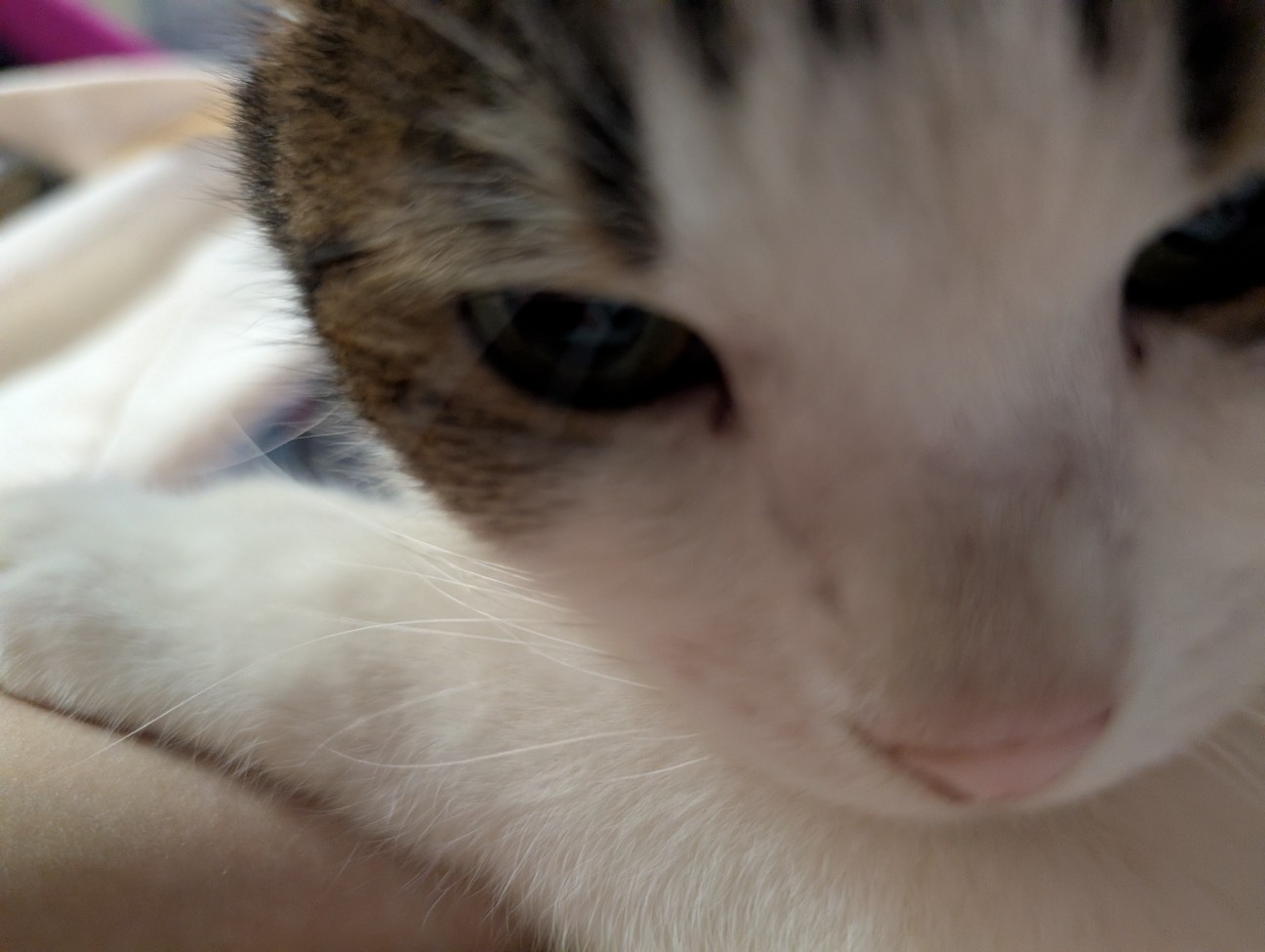 f:id:mayuasu:20260923172959j:image