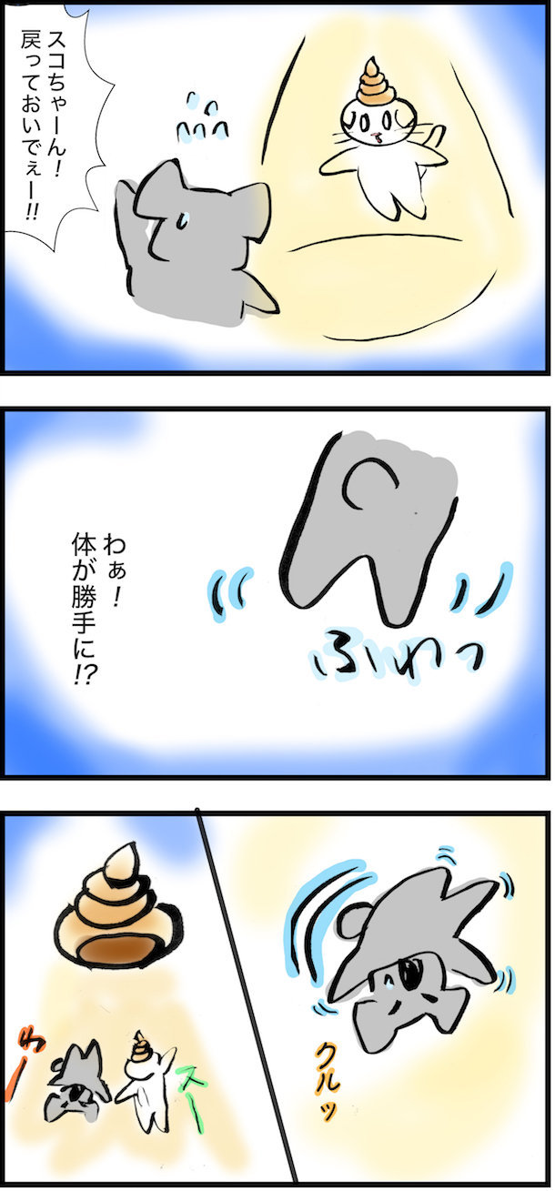 f:id:mayuchandesu:20171006224538j:plain