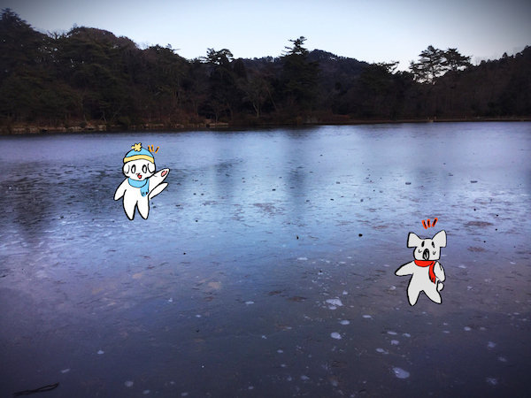 f:id:mayuchandesu:20180205014645j:plain