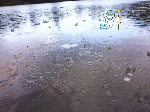 f:id:mayuchandesu:20180205014646j:plain