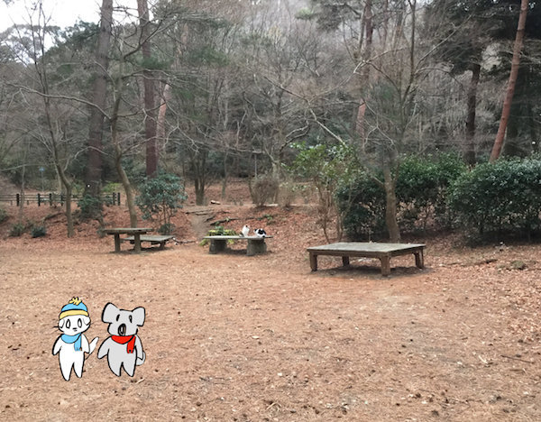 f:id:mayuchandesu:20180205014648j:plain