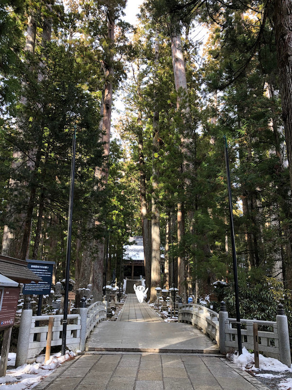 f:id:mayuchandesu:20190311173106j:plain f:id:mayuchandesu:20190311173106j:plain