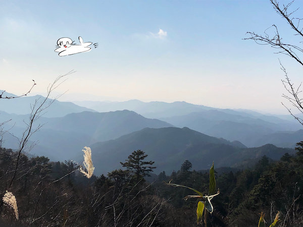 f:id:mayuchandesu:20190311173221j:plain f:id:mayuchandesu:20190311173221j:plain