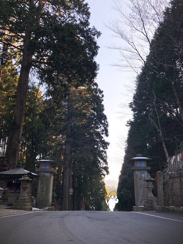 f:id:mayuchandesu:20190311173228j:plain f:id:mayuchandesu:20190311173228j:plain