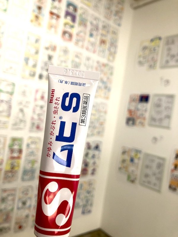 f:id:mayuchandesu:20191017132109j:plain