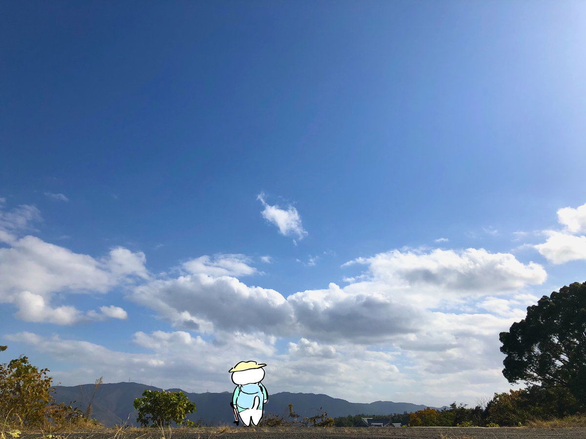 f:id:mayuchandesu:20191121220119j:plain