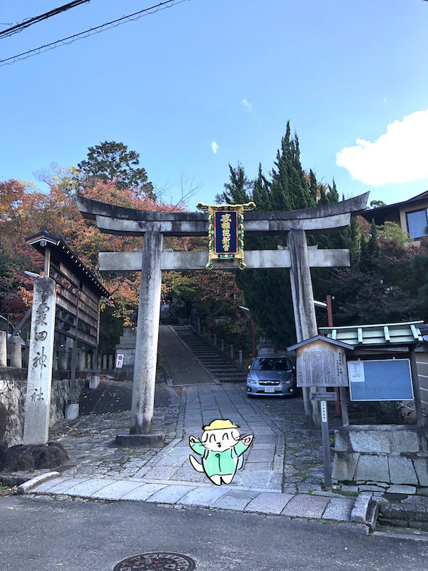 f:id:mayuchandesu:20191121230457j:plain