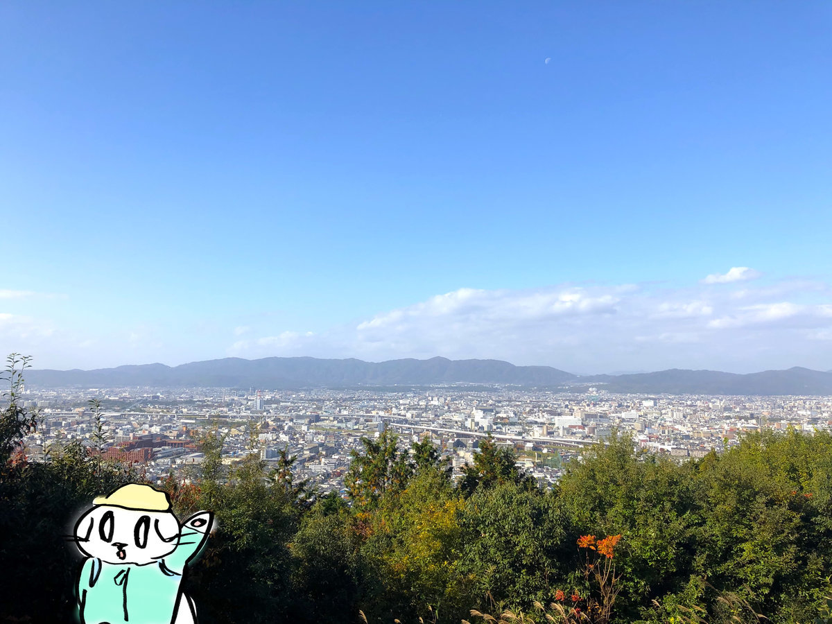 f:id:mayuchandesu:20191121230643j:plain