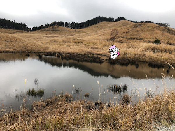 f:id:mayuchandesu:20191125123706j:plain