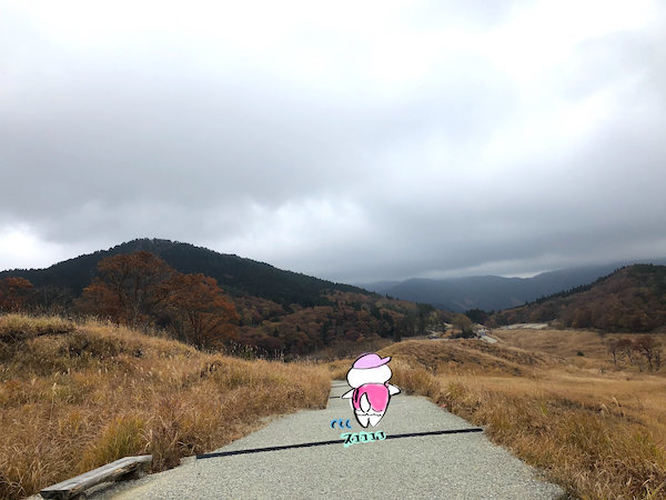 f:id:mayuchandesu:20191125123720j:plain