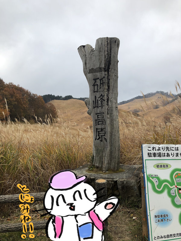 f:id:mayuchandesu:20191125123726j:plain