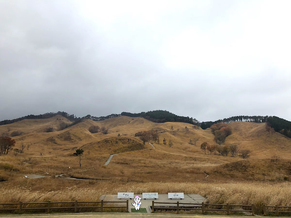 f:id:mayuchandesu:20191125123731j:plain