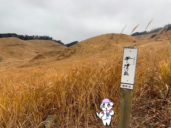 f:id:mayuchandesu:20191125123737j:plain