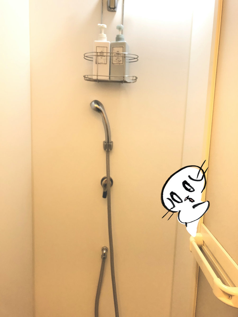 f:id:mayuchandesu:20200122232533j:plain