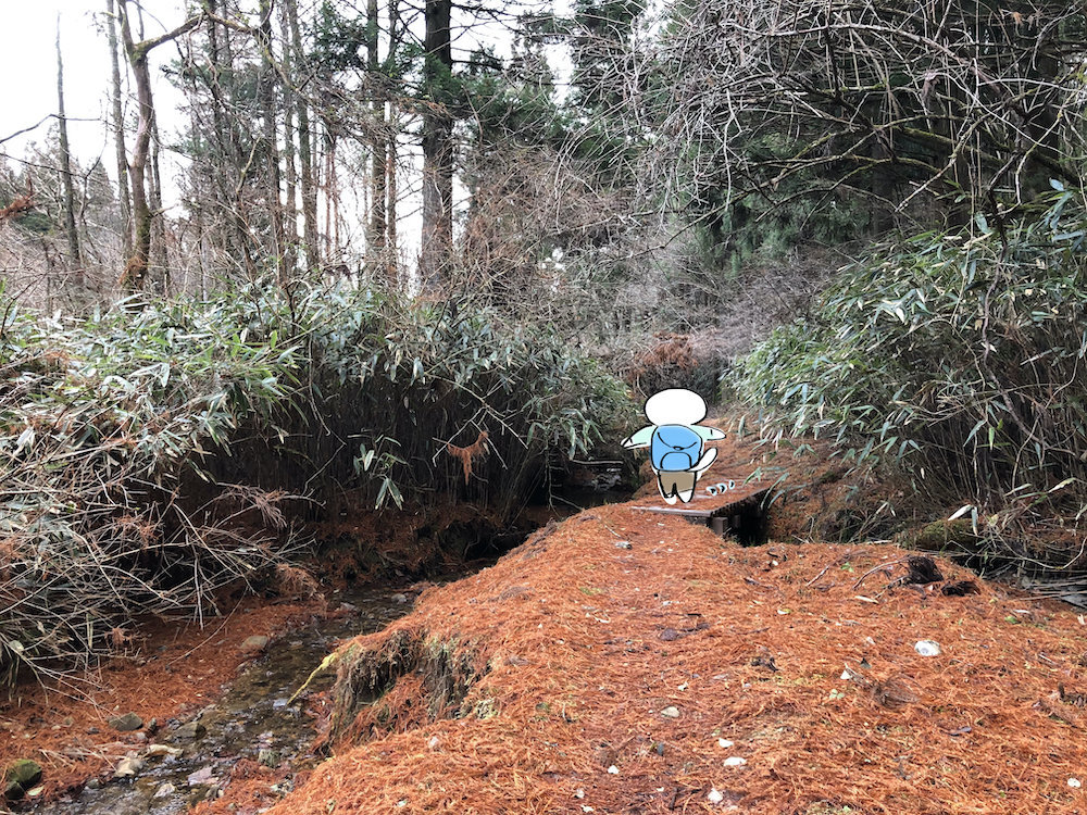 f:id:mayuchandesu:20200122235214j:plain