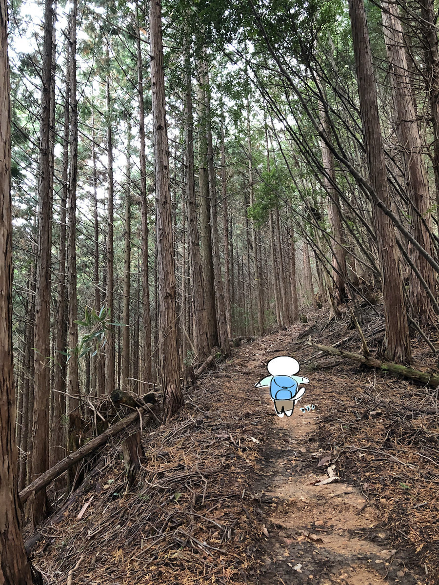 f:id:mayuchandesu:20200122235247j:plain