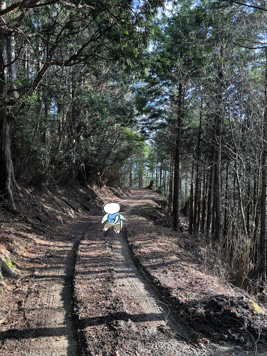 f:id:mayuchandesu:20200122235312j:plain