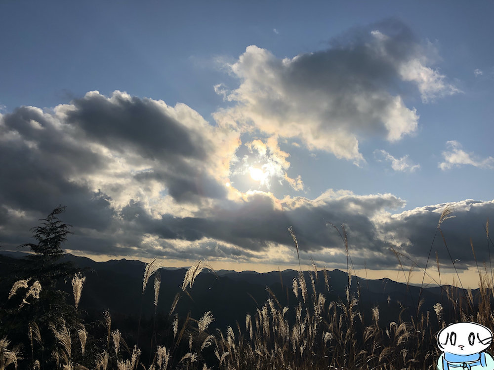 f:id:mayuchandesu:20200122235324j:plain