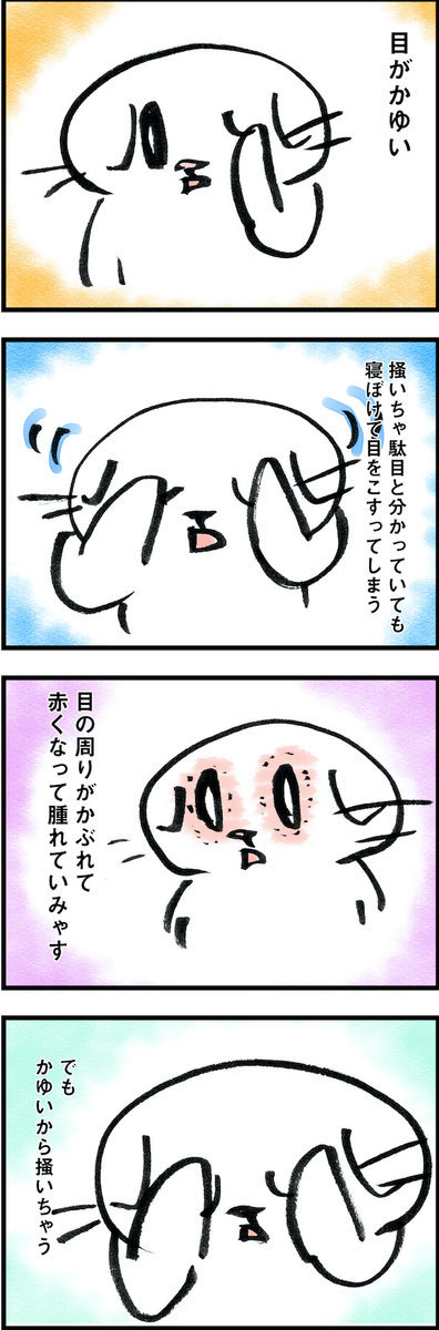 目がかゆいスコちゃん 猫の無料イラスト スコちゃん