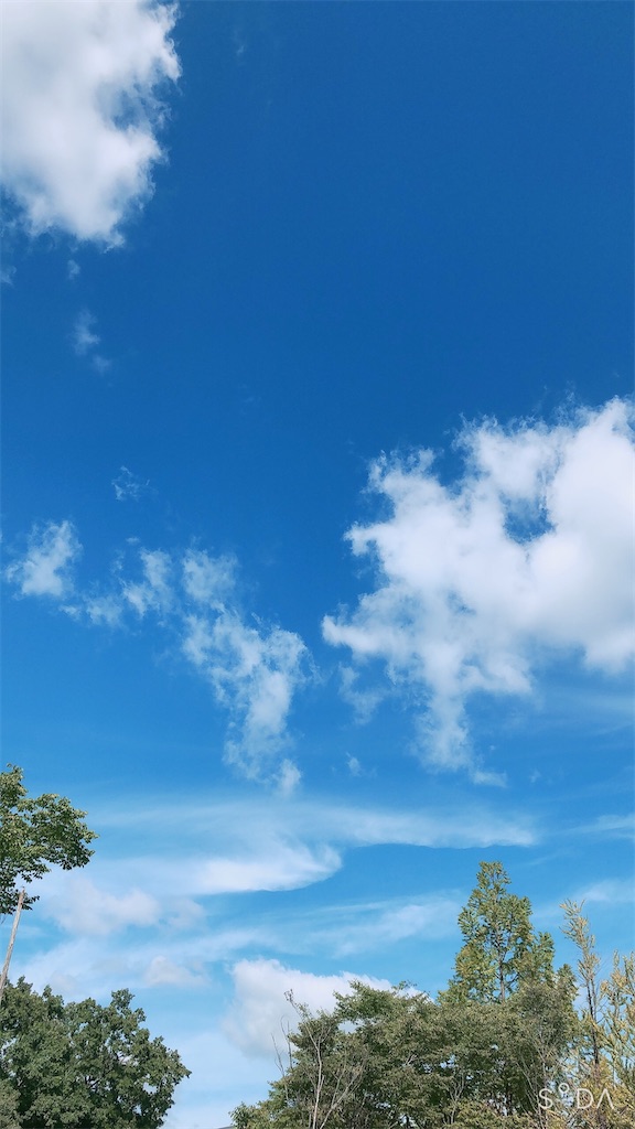 f:id:mayuchi34:20210917191036j:image f:id:mayuchi34:20210917191036j:image