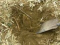 20100410124959