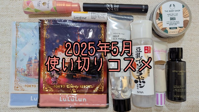 f:id:mayucoji:20250529172445j:image