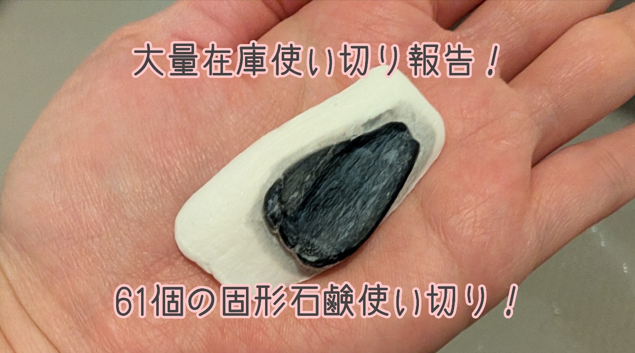 f:id:mayucoji:20251223105835j:image f:id:mayucoji:20251223105835j:image