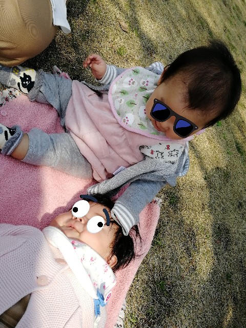 f:id:mayuge13:20180401212435j:image