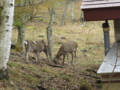 20161218154423