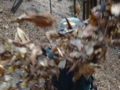 20170101175823
