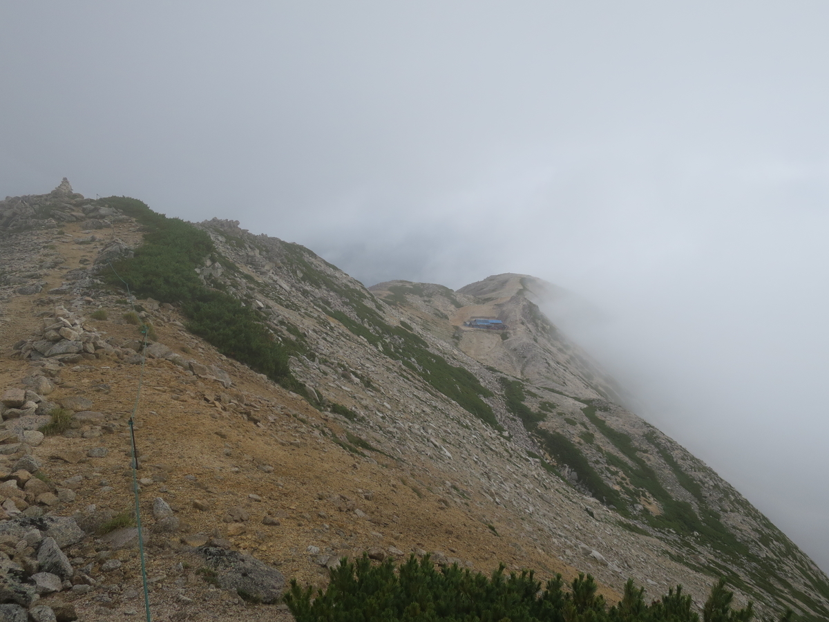 f:id:mayugekun:20190728212022j:plain