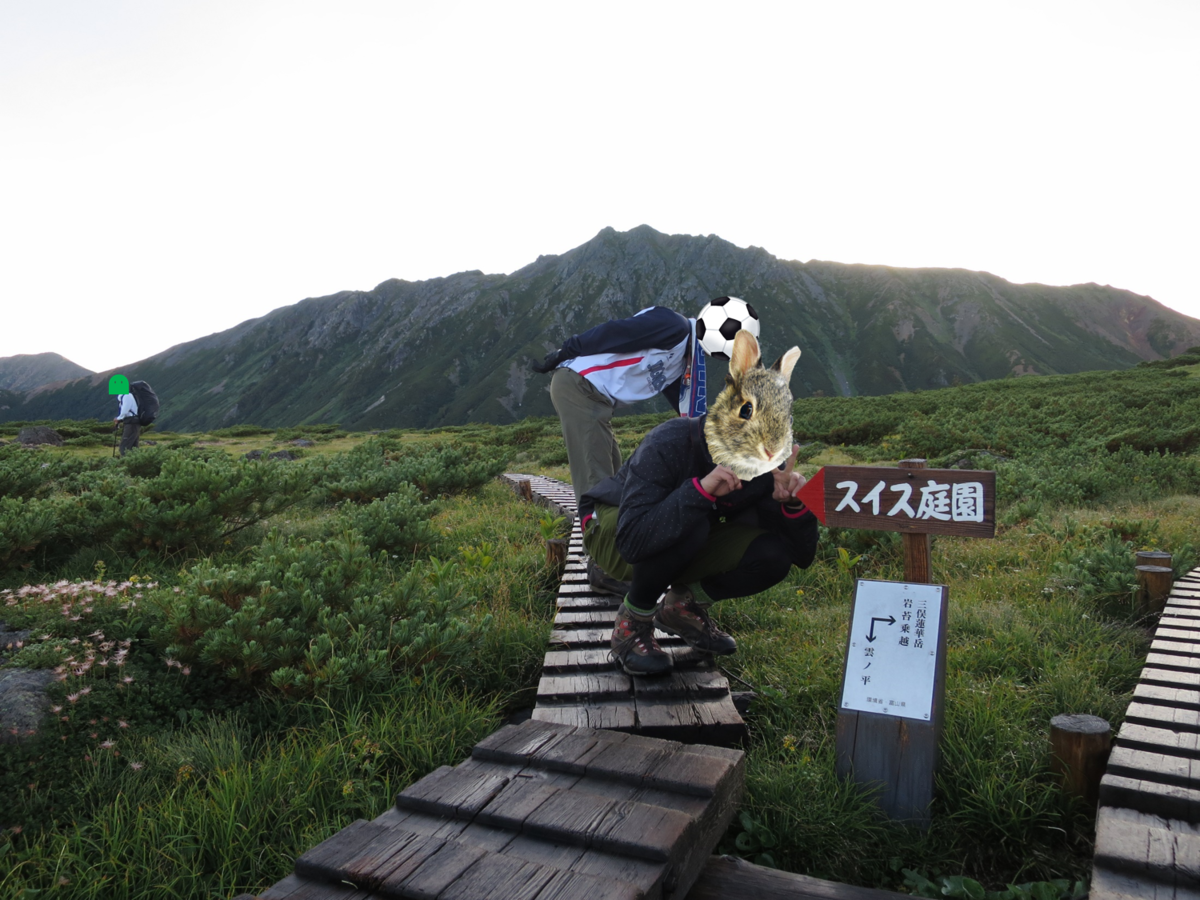 f:id:mayugekun:20190825182944p:plain