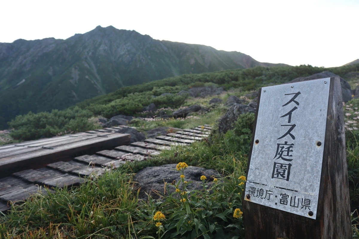 f:id:mayugekun:20190825183345j:plain