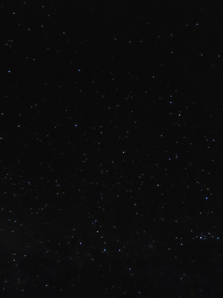 f:id:mayugekun:20191006143202j:plain
