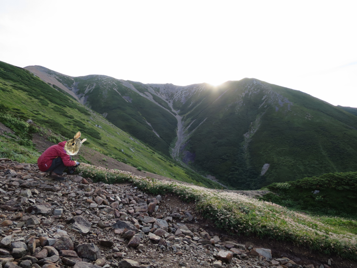 f:id:mayugekun:20191006170142p:plain