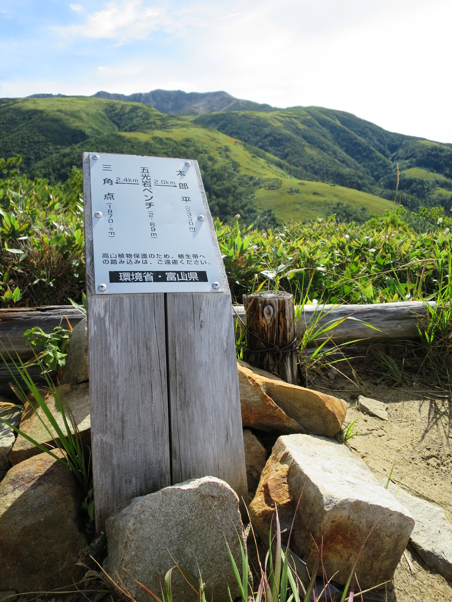 f:id:mayugekun:20191006174314j:plain