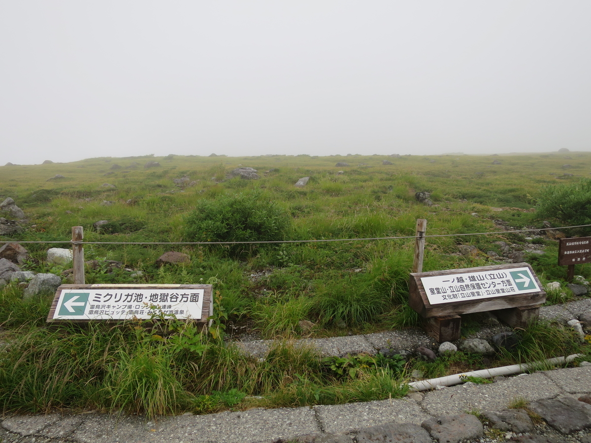 f:id:mayugekun:20191012163811j:plain