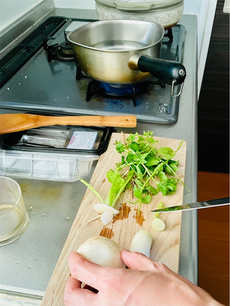 f:id:mayuges:20240113233951j:image