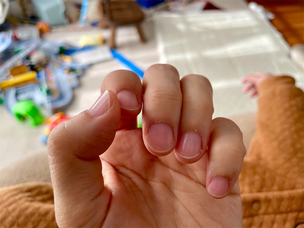 f:id:mayuges:20240121235619j:image