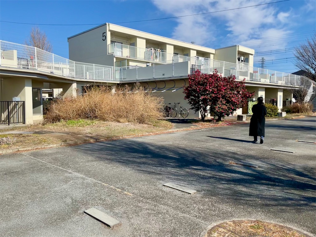 f:id:mayuges:20240206005700j:image